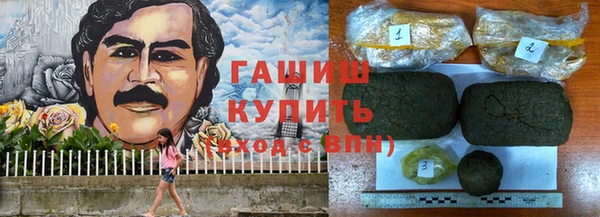 гидропоника Алзамай