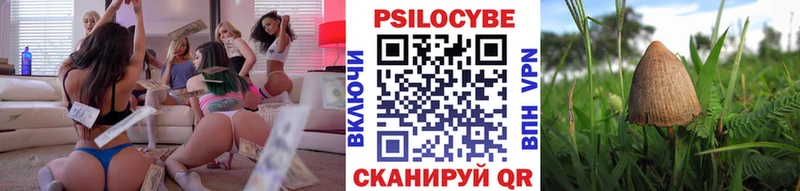 KRAKEN   Боровск  Псилоцибиновые грибы прущие грибы  наркошоп 